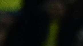 El colombiano Yerry Mina jugará con el Everton de la Premier League de Inglaterra