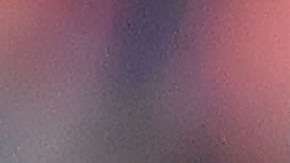 Guillermo Vázquez renunció a la dirección técnica de los Tiburones Rojos del Veracruz