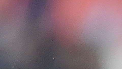 Guillermo Vázquez renunció a la dirección técnica de los Tiburones Rojos del Veracruz