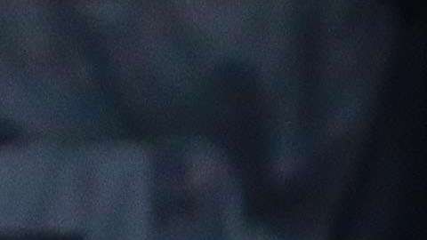 Los jugadores del Cruz Azul enamoran dentro y fuera de la cancha