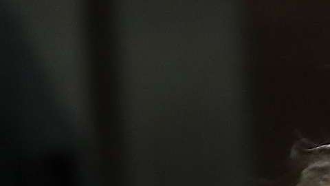 El sospechoso, Joseph James DeAngelo, en un tribunal de Sacramento, California.