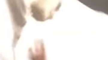 Kuno Becker y Armando Hernández.