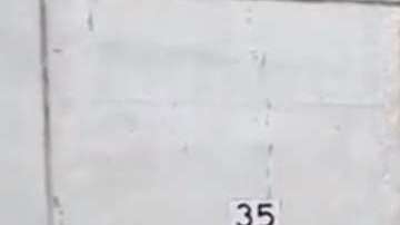 ICE realiza distintos tipos de operativos para ubicar a indocumentados.