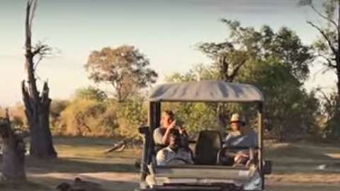 La leona se batió contra los perros por defender a su cachorro.