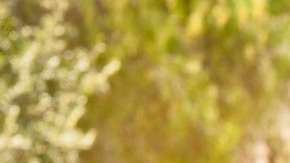 Todo un “colocón” químico que provoca mayor felicidad, reduce los efectos negativos del estrés, y favorece que se disparen los sentimientos de placer.