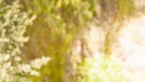 Todo un “colocón” químico que provoca mayor felicidad, reduce los efectos negativos del estrés, y favorece que se disparen los sentimientos de placer.