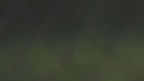 Si cocinas constantemente a la leña o con carbón, perjudicas tu salud.