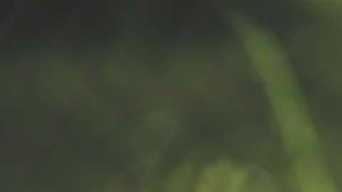 Si cocinas constantemente a la leña o con carbón, perjudicas tu salud.