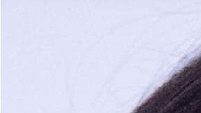 Melania Trump, LeBron James y Donald Trump.