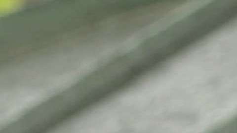 Encuentran una muñeca negra colgada de una soga en un parque.