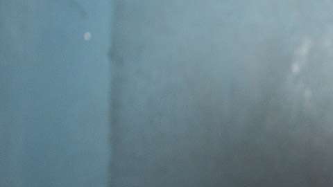 Gael García Bernal en "Museo". / Foto: Vitagraph Films