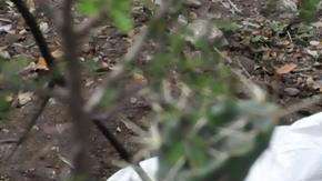 Hallazgo de fosas clandestinas.