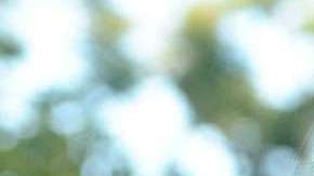 Patricia Manterola, cantante mexicana.