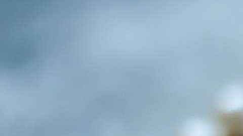 Las perlas no solo sirven para hacer collares; también adornan todo tipo de prendas.