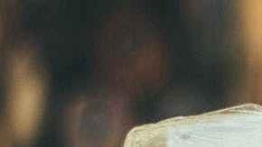 Existe gran variedad de quesos que dan sabor a los platillos.