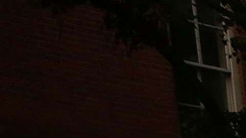 Foto ilustrativa de una patrulla del NYPD.