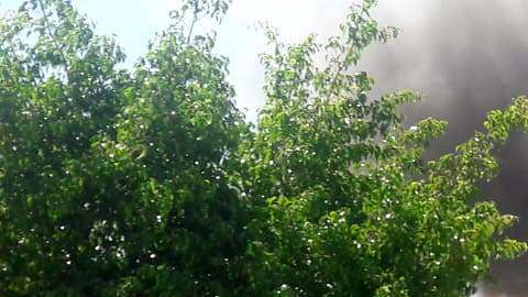 Los sacaron de la cárcel para quemarlos vivos.