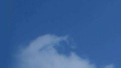 En lo que va del año, 5 niños han muerto en piscinas del condado de Orange.