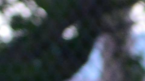 La Academia de Porteros Rafa tiene una de sus sedes en el parque Kelly. (Javier Quiroz / La Raza)