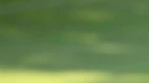 Andrés Rentería sufrió una distensión muscular y causó baja durante dos semanas