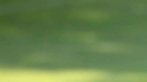 Andrés Rentería sufrió una distensión muscular y causó baja durante dos semanas