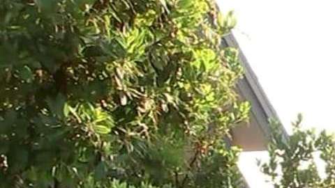 La maestra llevaba un año trabajando en el recinto escolar.