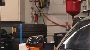 Salomondrin, figura de las redes sociales