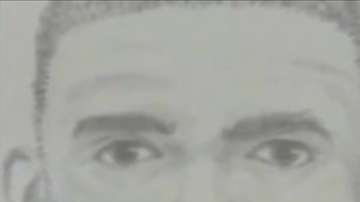 Sentencian al atacante a 107 años de prisión