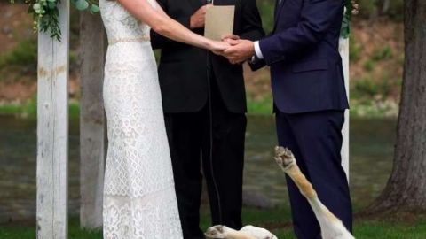 El perro decidió ser el protagonista del momento más importante de la ceremonia.