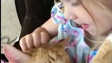 La pequeña Abbey le canta a su gatito Bailey.