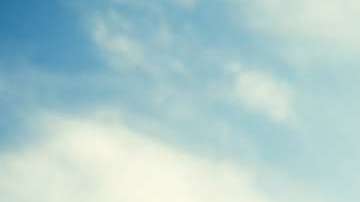 Todos desean encontrar a su otra mitad.