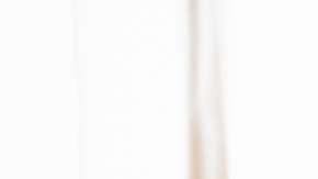 La decepción les llevó a tomar dicha decisión.