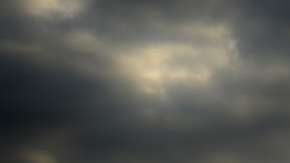 Cada año, los bosques, los océanos y los suelos de la Tierra absorben alrededor de 4,500 millones de toneladas de carbono.