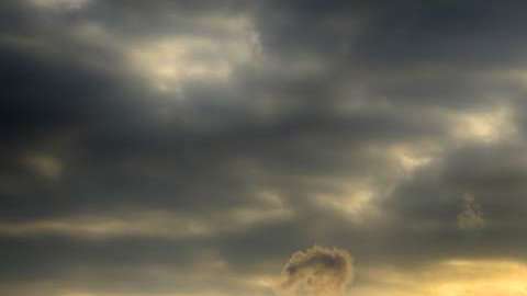 Cada año, los bosques, los océanos y los suelos de la Tierra absorben alrededor de 4,500 millones de toneladas de carbono.