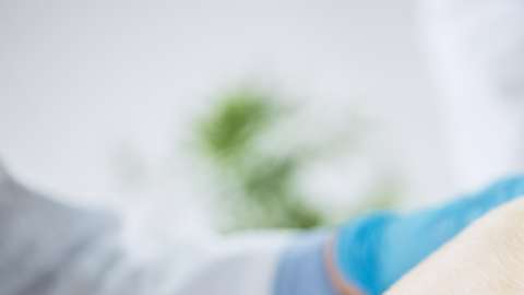 El corazón del perro puede ser afectado gravemente.