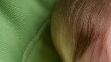 Descubre cuáles son los alimentos menos peligrosos para bebé que existen en el mercado.