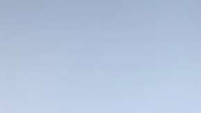 Esta novedad hará que tu vida sea más sencilla con ayuda de un asistente digital.