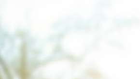 Si no lo aplicas adecuadamente no obtendrás los beneficios.