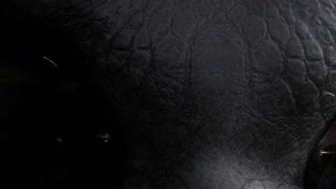 Durante años, el hombre ha mostrado su fascinación por el espacio exterior y la posibilidad de encontrar vida extraterrestre.