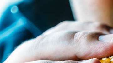 Comer sin parar tiene que ver con una función del cerebro.