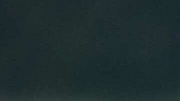 Leones Marinos. Steve Halama/UnSplash