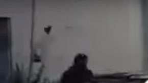 El auto del serial Stock Light brasileño impactó a tres mecánicos en los pits.