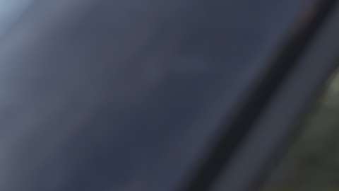 Los adolescentes pueden obtener permisos y licencias en EE.UU.