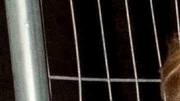 Taylor Swift y su novio Joe Alwyn