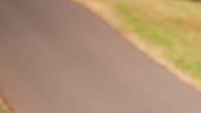 No los puedes dejar pasar