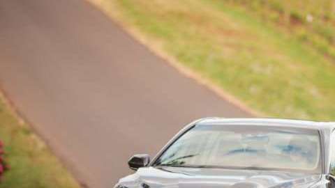 No los puedes dejar pasar