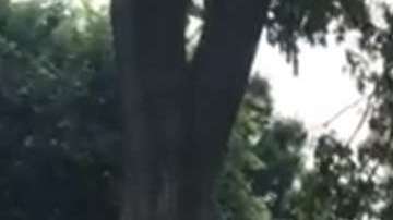 La ambulancia trasladó al miembro de la Casa Blanca a un hospital.