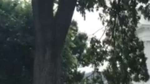 La ambulancia trasladó al miembro de la Casa Blanca a un hospital.