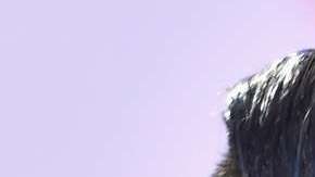 William Valdés y sus excompañeros de "Despierta América", Alan Tacher y Karla Martinez