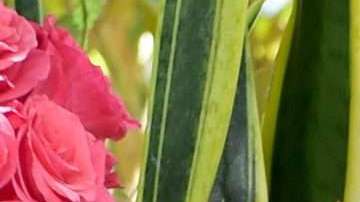 Winona Ryder junto a su posible esposo,  Keanu Reeves.